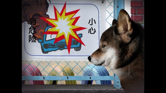 恐怖遊戲《翌日》與實況主合作 紀念逝去的愛犬